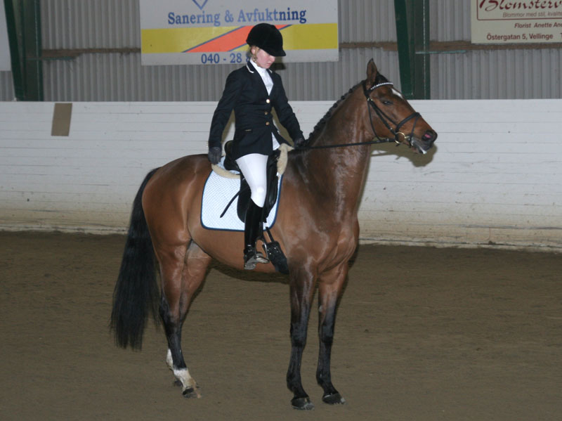 20080406_121110 Hanna Severin Diamonds Eight